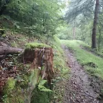 Fundacja Dom Pracy Tworczej Pau * ザボヤ