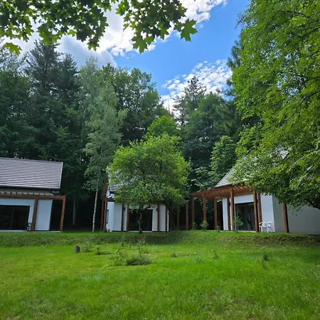 Fundacja Dom Pracy Tworczej Pau
