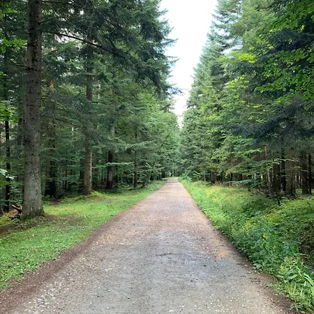 Fundacja Dom Pracy Tworczej Pau